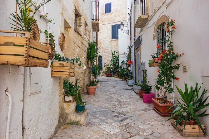 Alberobello, Castellana Caves and Polignano Guided Tour from Bari - Polignano a Mare walking tour: cliff alleys and 30-meter balconies