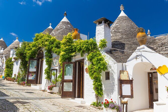 Alberobello, Monopoli Polignano Small Group Guided Tour from Bari - The transport day: air-conditioning, small groups, and a realistic pace