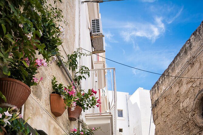 Alberobello, Monopoli Polignano Small Group Guided Tour from Bari - Price and value: what $216.48 buys you (and what it doesn’t)