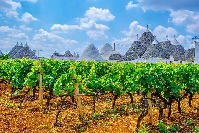 Alberobello Private Tour: Wine, Food, Trulli & Flavors of Puglia - Walking the Trulli district with a private guide