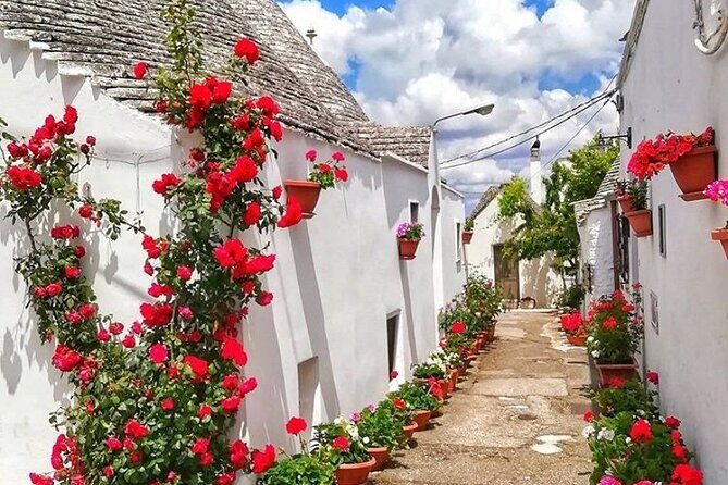 Alberobello Private Tour: Wine, Food, Trulli & Flavors of Puglia - Should you book this private Alberobello tour?