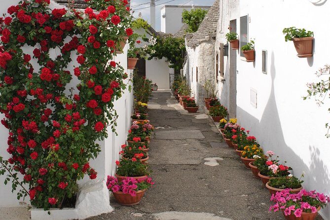 Alberobello&Ostuni&Polignano a Mare - Alberobello’s I Trulli: What You Actually Get From The Trulli Visit
