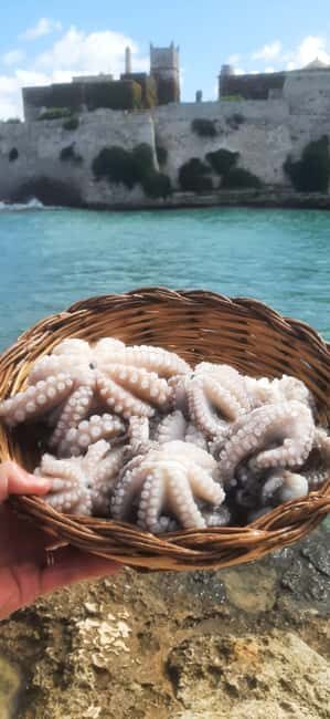 Bari: Fishing experience aboard an authentic fishing boat - Meeting the Gozzovigliando at Bari’s Old Port