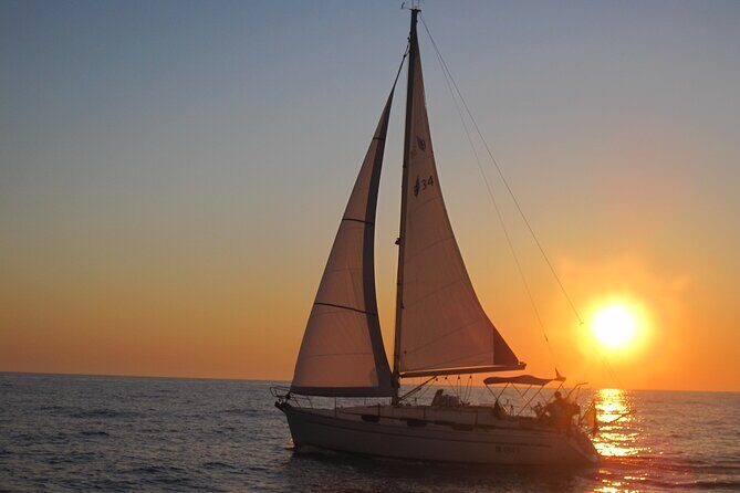 Bari sailing cruise in search of dolphins - The Apulian coast and Bari old navy area: What you see while you head out