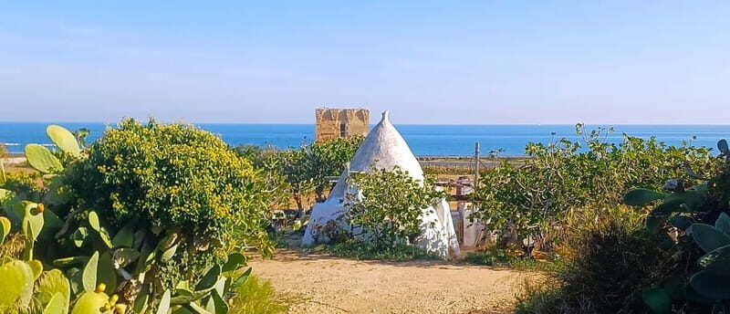 Bari: Tour Polignano Alberobello Matera (Private or Shared) - Why Bari Is Such a Smart Base for Puglia and Basilicata