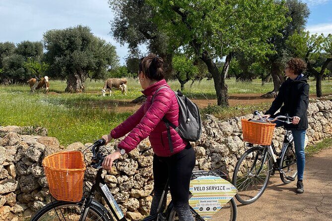 Bike Rental in Bari - Multi-Day Riding (Up to 7 Days): Coastal Moves and Countryside Time