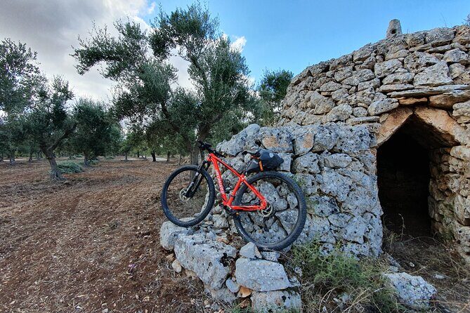 Bike Tour in the Alta Murgia National Park (Pulo of Altamura) - Price and value: is $90 for 3 hours worth it?