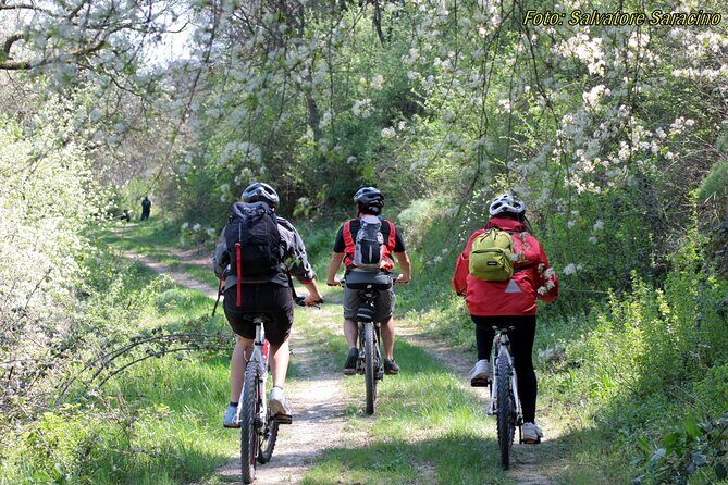 Bike Tour into the nature around Castel del Monte - Castel del Monte Views from the Edges, Not the Center