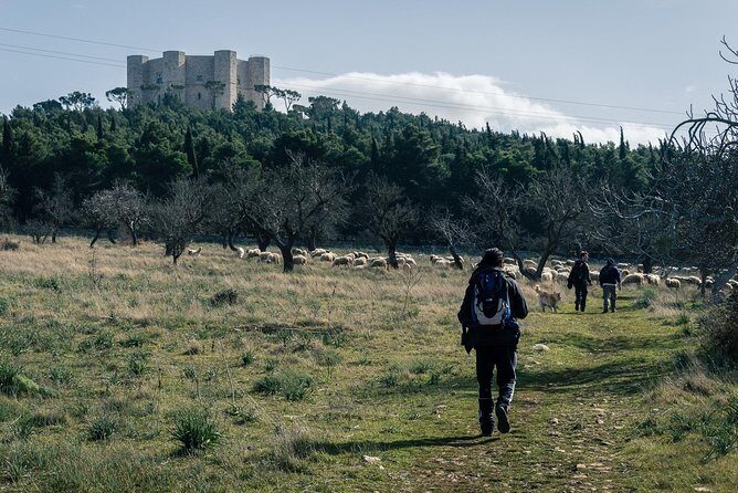 Castel del Monte: excursion in the Alta Murgia National Park - Inside the Octagon: the 1240 idea behind Frederick II’s castle