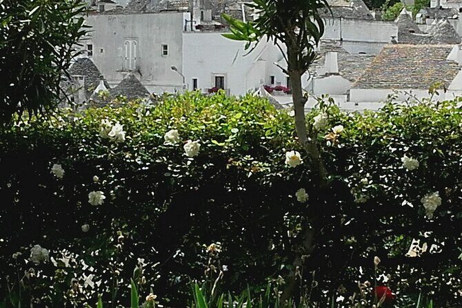 Day Tour of Ostuni, Martina Franca, Alberobello from Bari - Price and Value: What You’re Really Paying For