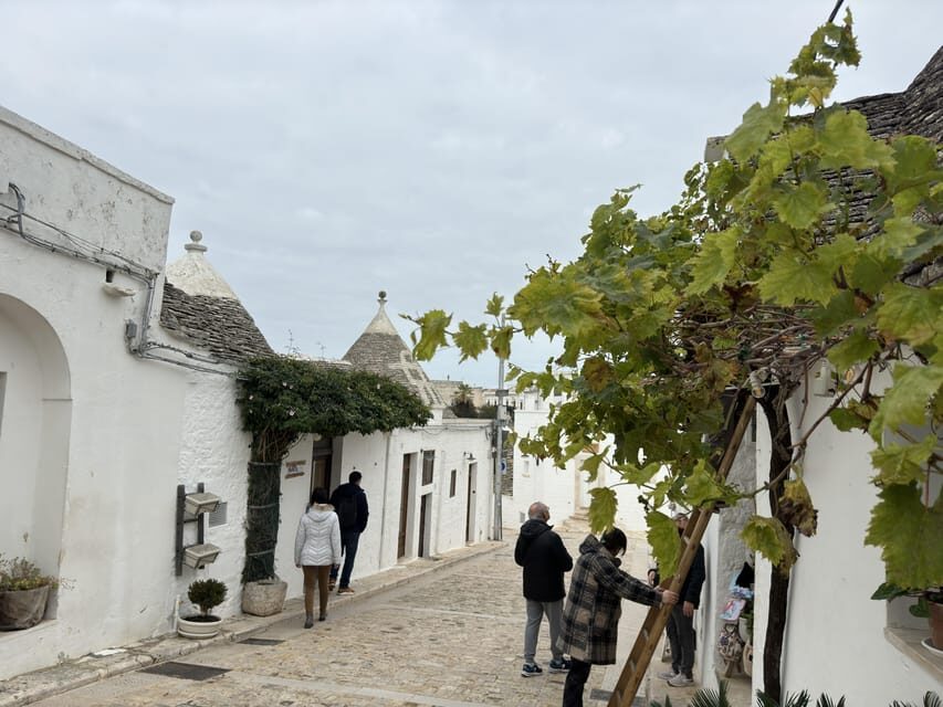 From Bari: Alberobello Half-Day Trip with Guided Tour - Free time in Alberobello: where you can shape the day
