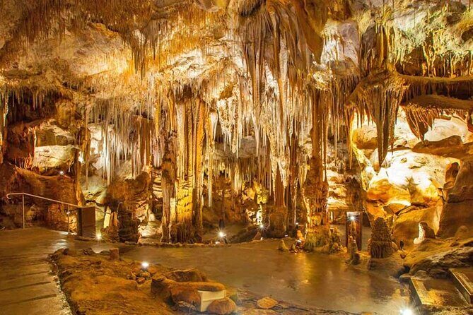 From Polignano - Cave Tour Between Land and Sea - Key things to know before you go