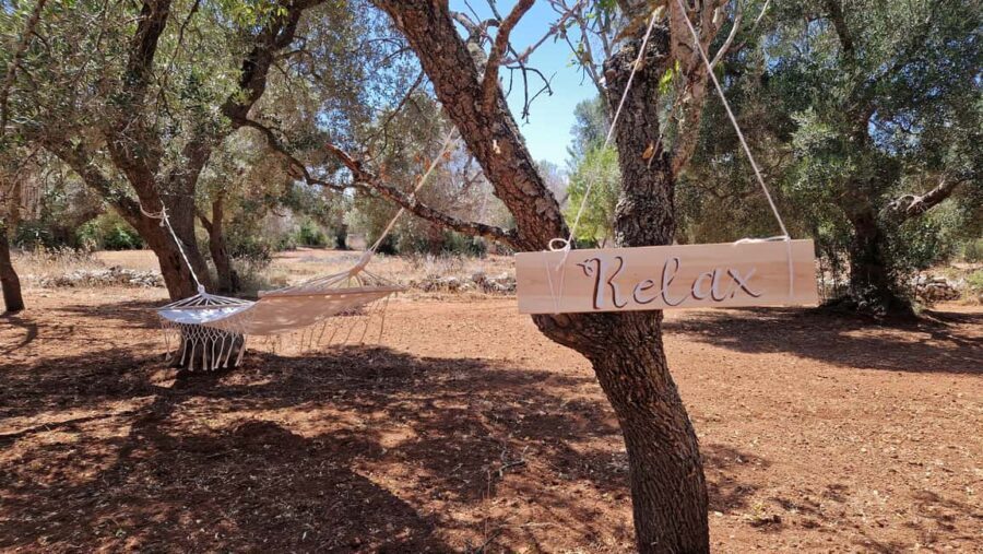 Ostuni: San Vito dei Normani: Organic Picnic in Olive Grove - What’s Included vs. What’s Not (So You’re Not Surprised)