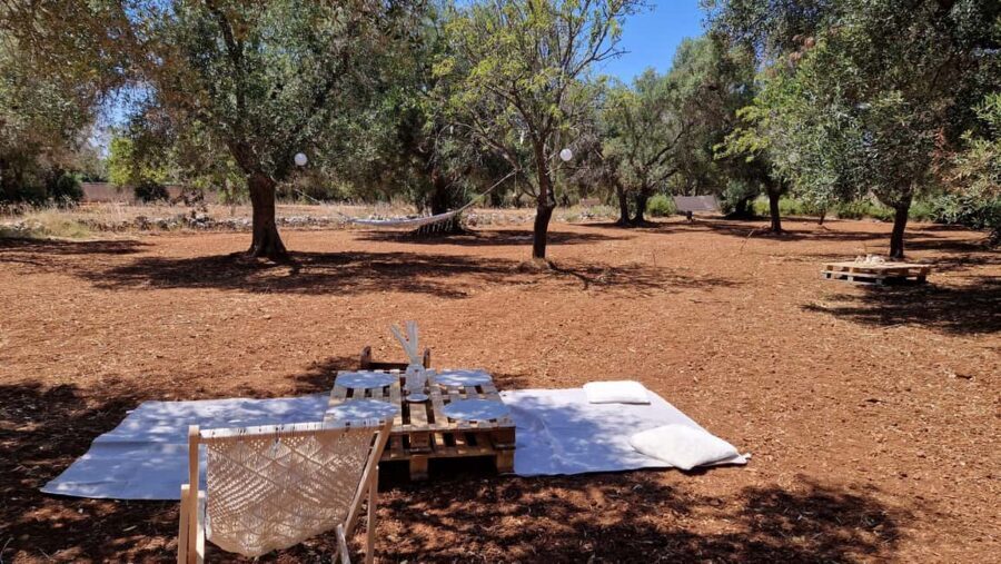 Ostuni: San Vito dei Normani: Organic Picnic in Olive Grove - Who Should Book This Picnic (And Who Should Rethink It)