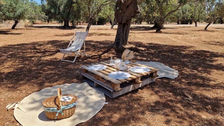 Ostuni: San Vito dei Normani: Organic Picnic in Olive Grove - The Boho Olive Grove Setup: Shade, Seating, and “Stay a While”