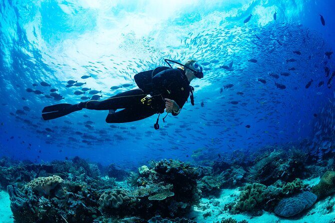 Sea Baptism Scuba Experience in Polignano a Mare - Key Things You’ll Notice Up Front