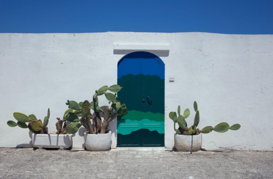 Visit Ostuni, Locorotondo & Polignano: Private or Group tour - Should You Book This Ostuni, Locorotondo & Polignano Tour?