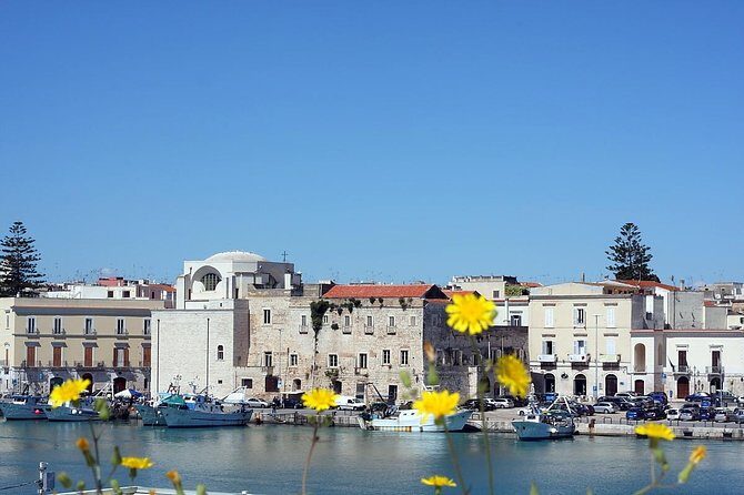 Walking tour Trani - Price and value: why $29.67 can make sense (and when it won’t)